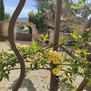Entre Blé Et Lavande Appartement